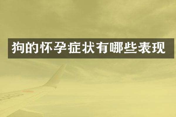狗的怀孕症状有哪些表现