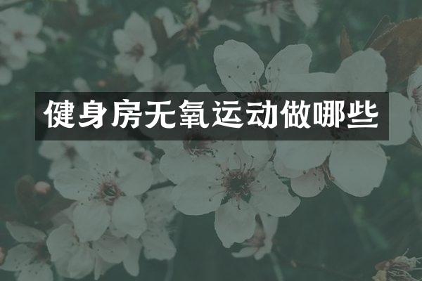 健身房无氧运动做哪些