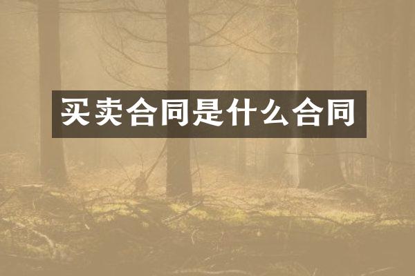 买卖合同是什么合同