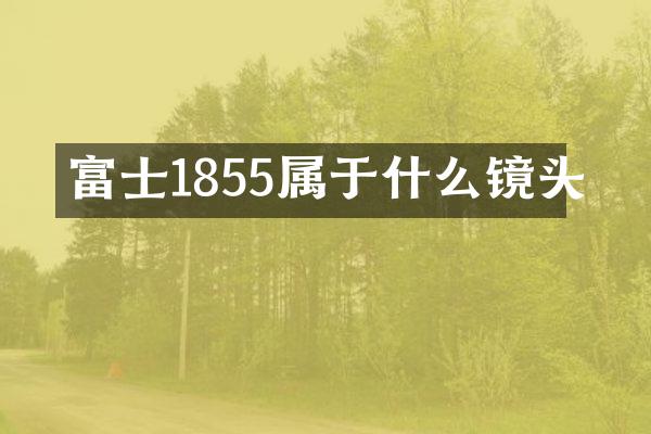 富士1855属于什么镜头