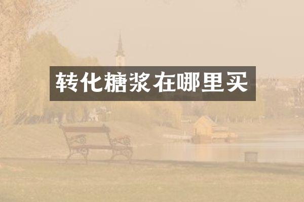 转化糖浆在哪里买
