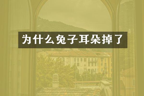 为什么兔子耳朵掉了