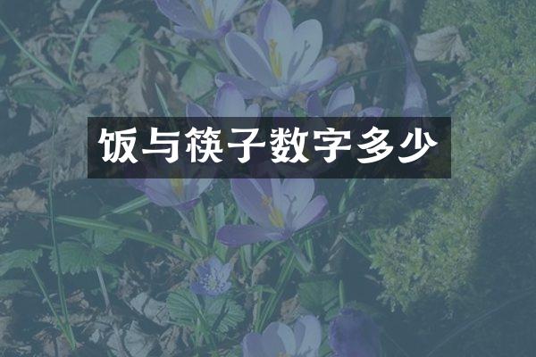 饭与筷子数字多少
