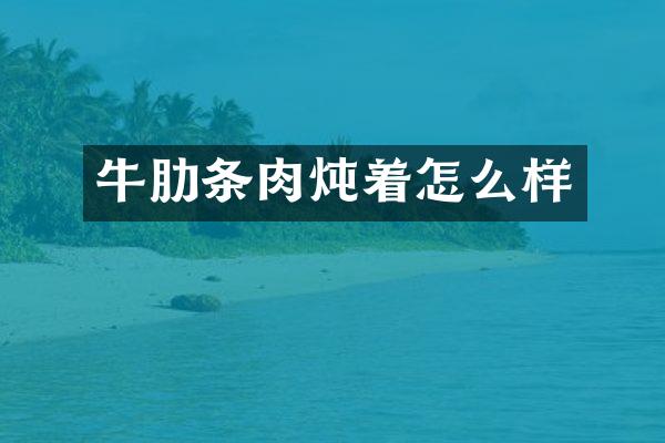 牛肋条肉炖着怎么样