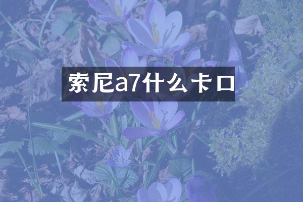 a7什么卡口