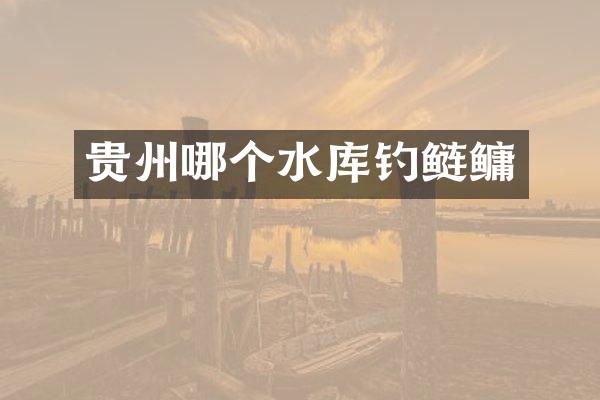 贵州哪个水库钓鲢鳙