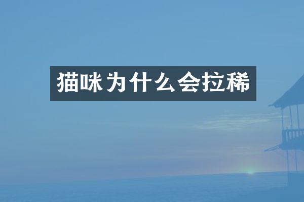 猫咪为什么会拉稀