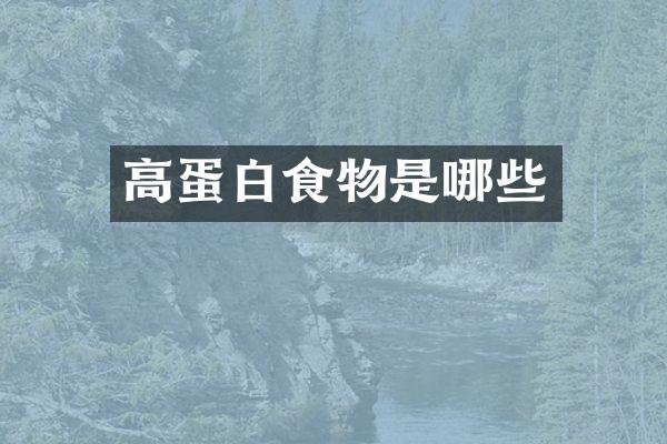 高蛋白食物是哪些