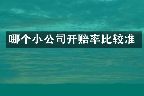 哪个小公司开赔率比较准