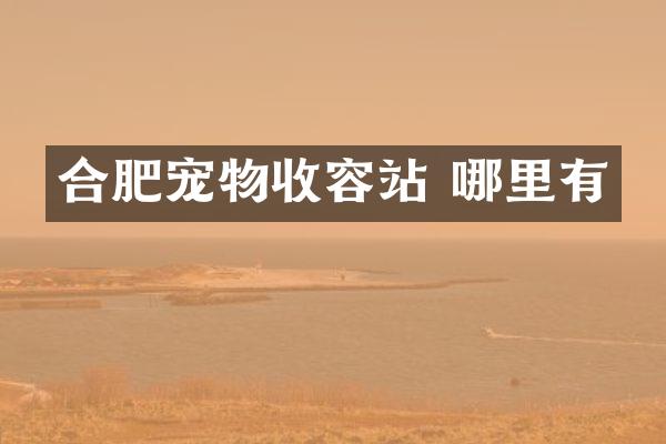 合肥宠物收容站 哪里有