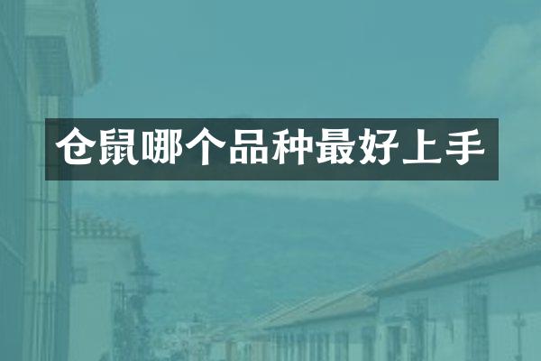 仓鼠哪个品种最好上手