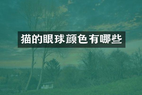 猫的眼球颜色有哪些