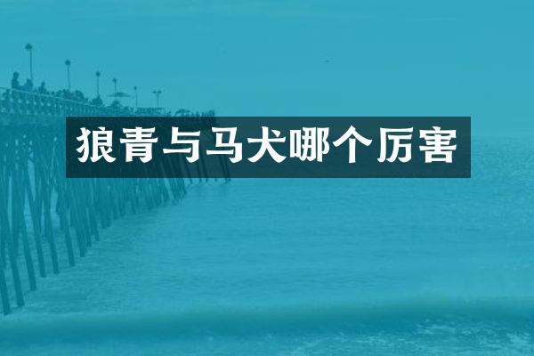 狼青与马犬哪个厉害