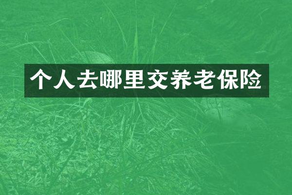 个人去哪里交养老保险