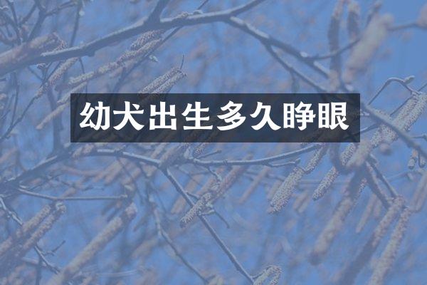 幼犬出生多久睁眼