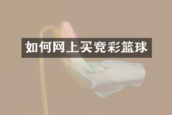 如何网上买竞彩篮球