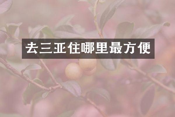 去三亚住哪里最方便