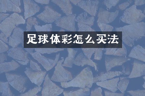 足球体彩怎么买法