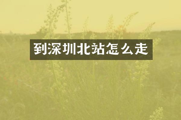 到深圳北站怎么走