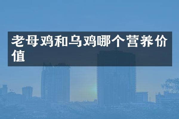 老母鸡和乌鸡哪个营养价值