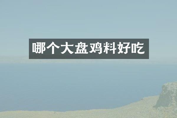 哪个大盘鸡料好吃