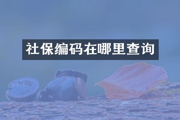 社保编码在哪里查询