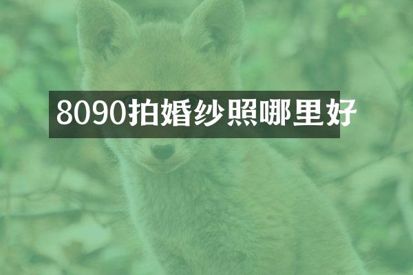 8090拍婚纱照哪里好