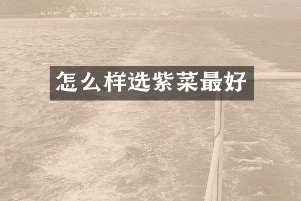 怎么样选紫菜最好