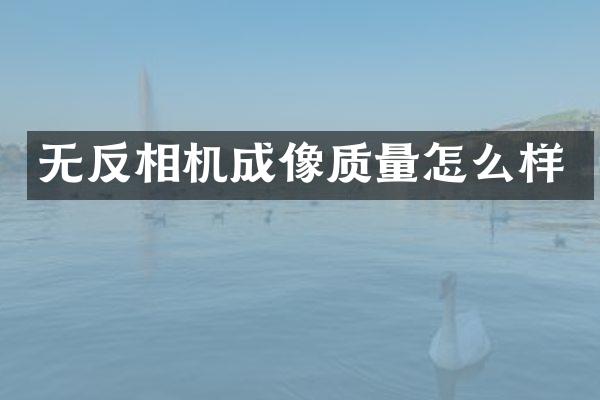 无反相机成像质量怎么样