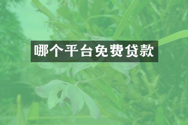 哪个平台免费贷款