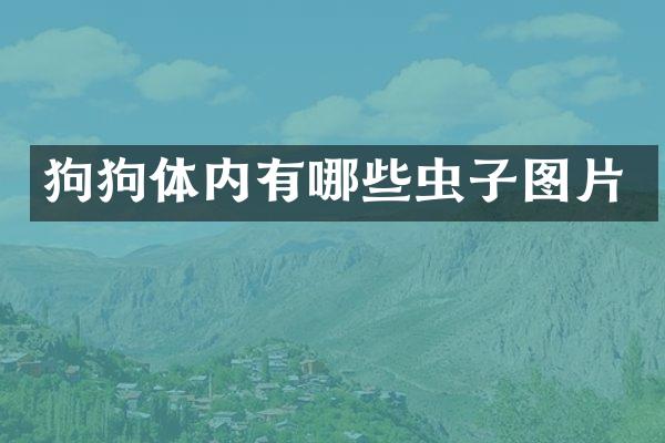 狗狗体内有哪些虫子图片