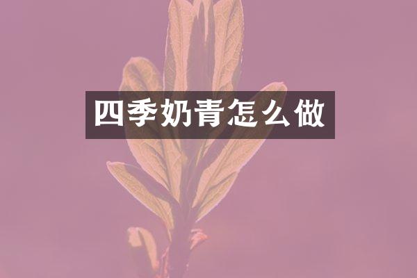 四季奶青怎么做