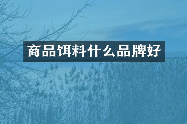 商品饵料什么品牌好