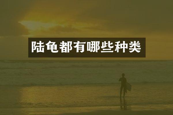 陆龟都有哪些种类