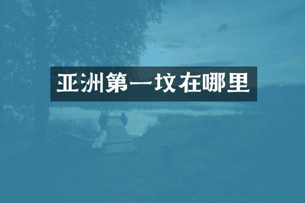 亚洲第一坟在哪里