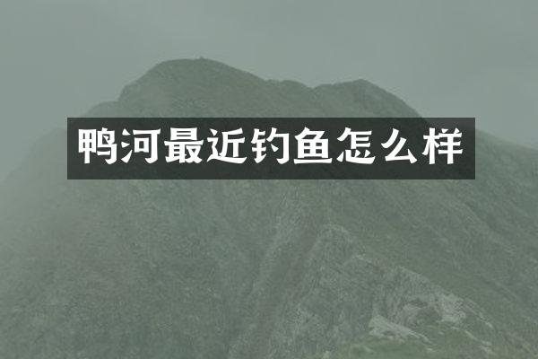 鸭河最近钓鱼怎么样