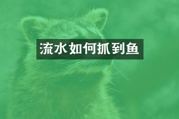 流水如何抓到鱼