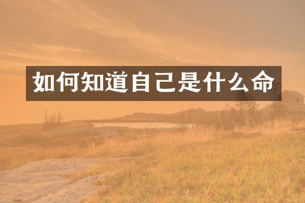 如何知道自己是什么命