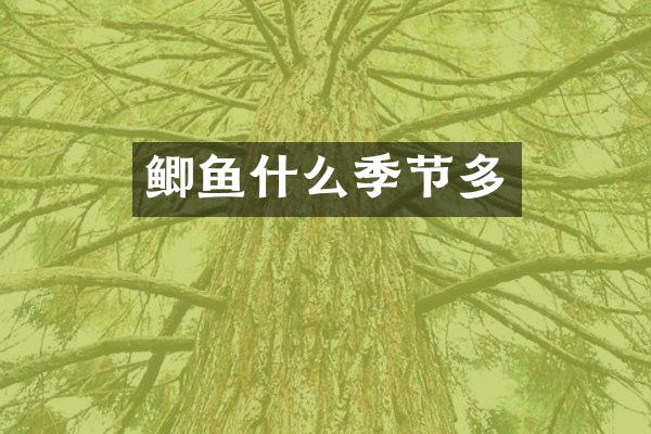 鲫鱼什么季节多