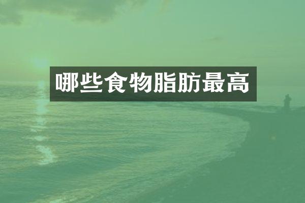 哪些食物脂肪最高