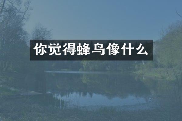 你觉得蜂鸟像什么