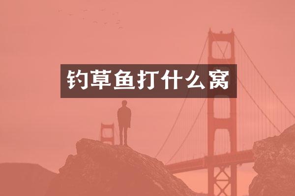 钓草鱼打什么窝