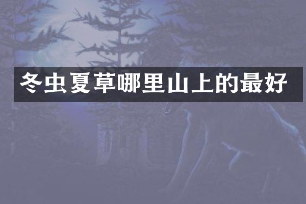 冬虫夏草哪里山上的最好