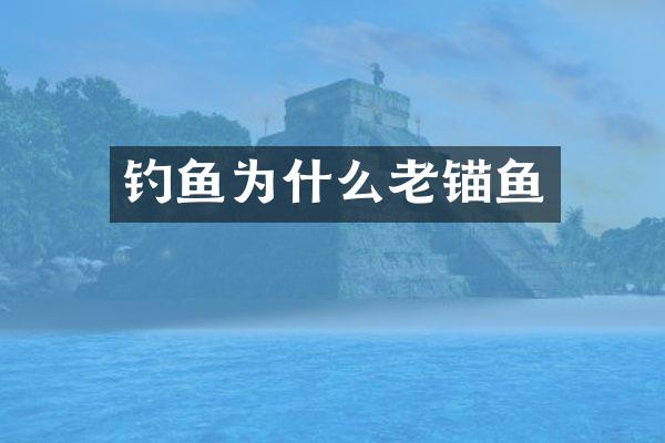 钓鱼为什么老锚鱼