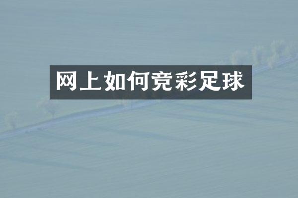 网上如何竞彩足球
