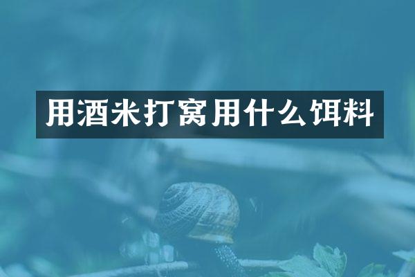 用酒米打窝用什么饵料