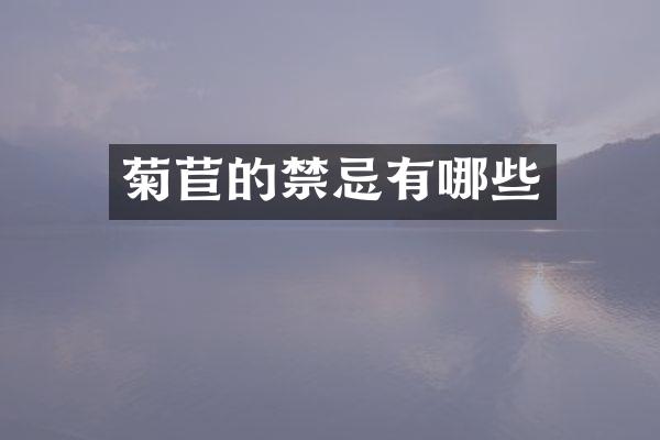 菊苣的禁忌有哪些