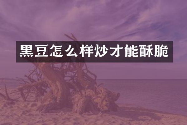 黑豆怎么样炒才能酥脆