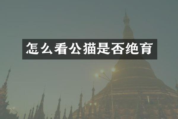 怎么看公猫是否绝育