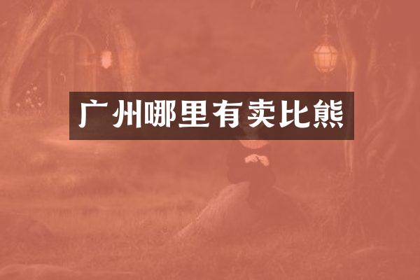 广州哪里有卖比熊